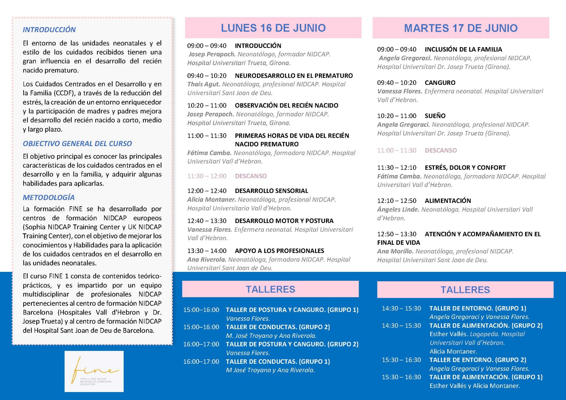 Curso FINE 1: Cuidados Centrados en el Desarrollo y en la Familia (CCDF)