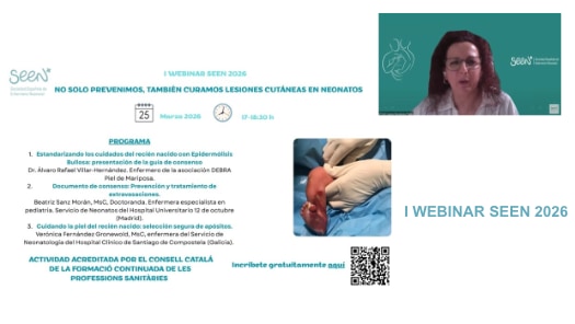 I Webinar SEEN 2026 sobre piel