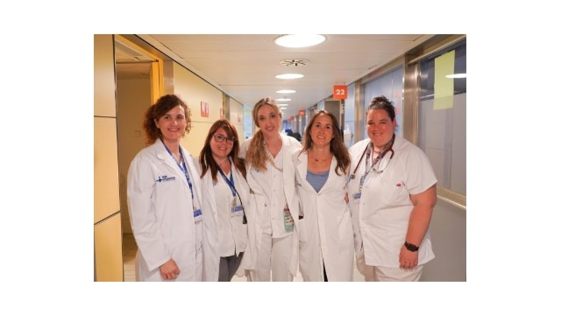 Publicado el artículo ganador en la II Beca de Investigación Seen en la categoría Manuscrito para publicar en Open Access