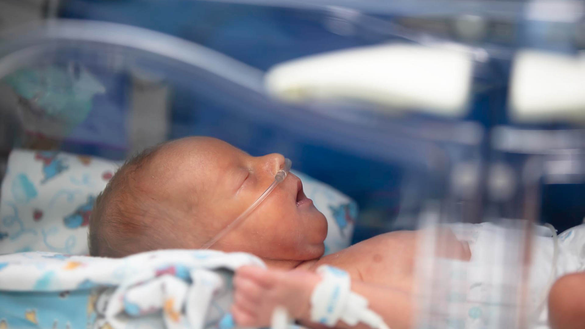 Manifiesto por el Cuidado del Neonato con Soporte Respiratorio