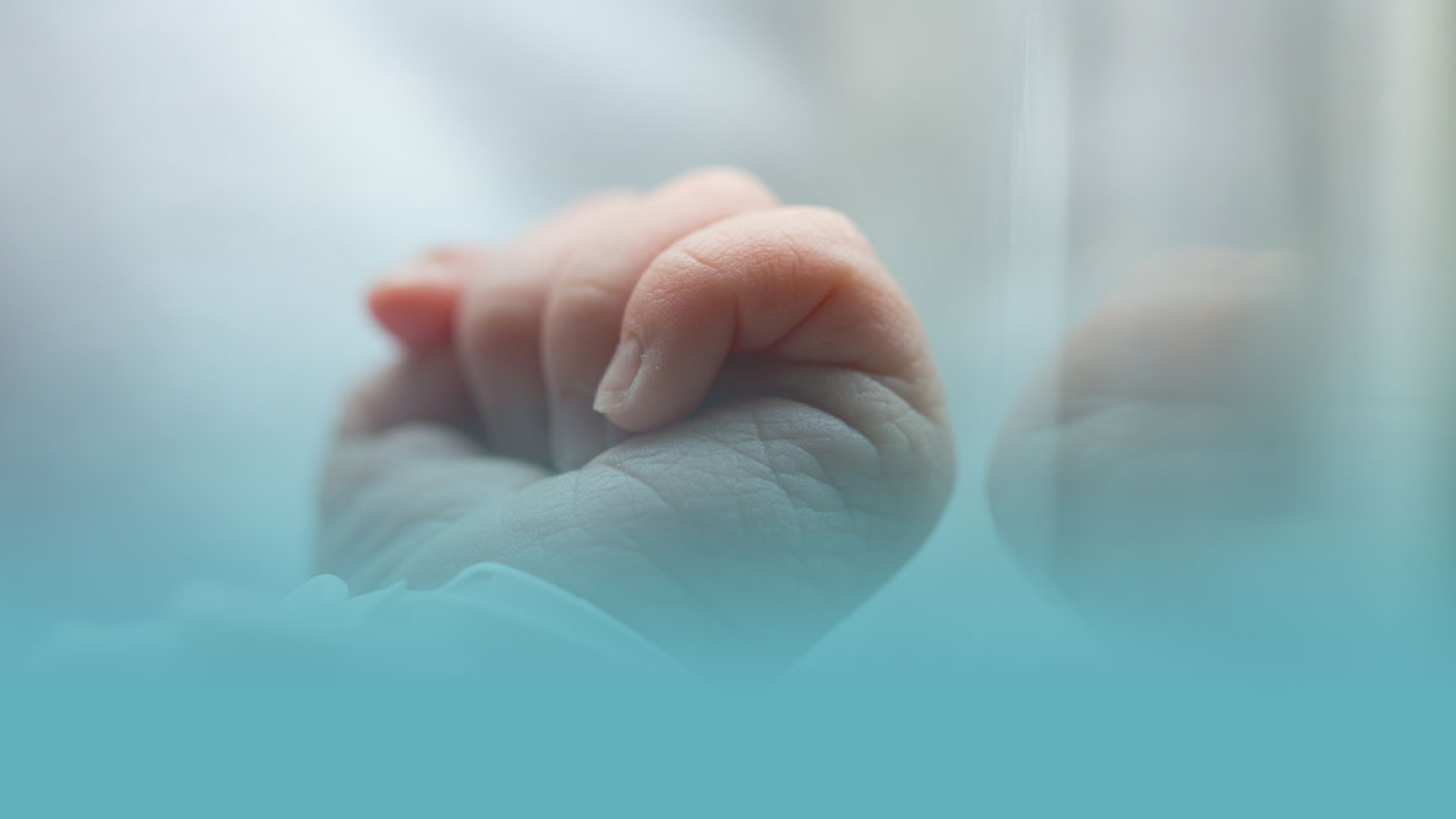 Próximo Webinar 25 Enero 2024. La Seguridad en el Cuidado Neonatal