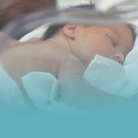 II Beca para la investigación en el cuidado Neonatal